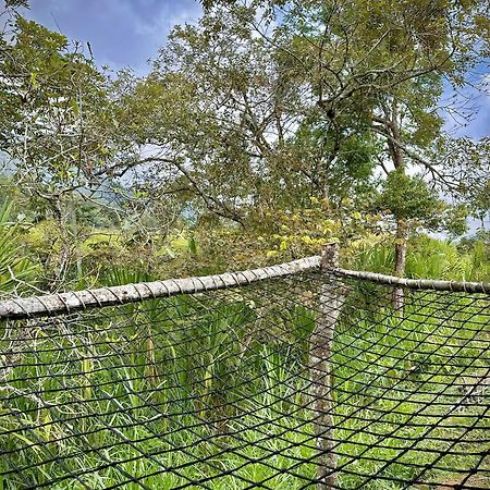 Finca Ecoparaiso Ibagué Kültér fotó