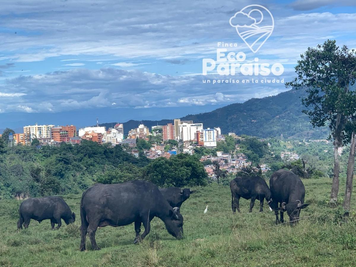 Finca Ecoparaiso Ibagué Kültér fotó
