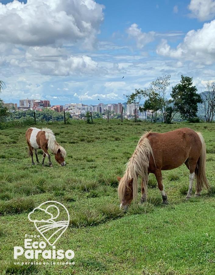 Finca Ecoparaiso Ibagué Kültér fotó