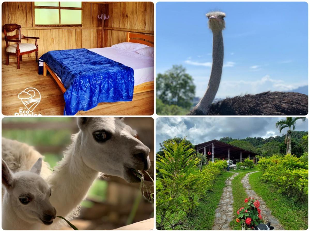 Finca Ecoparaiso Ibagué Kültér fotó
