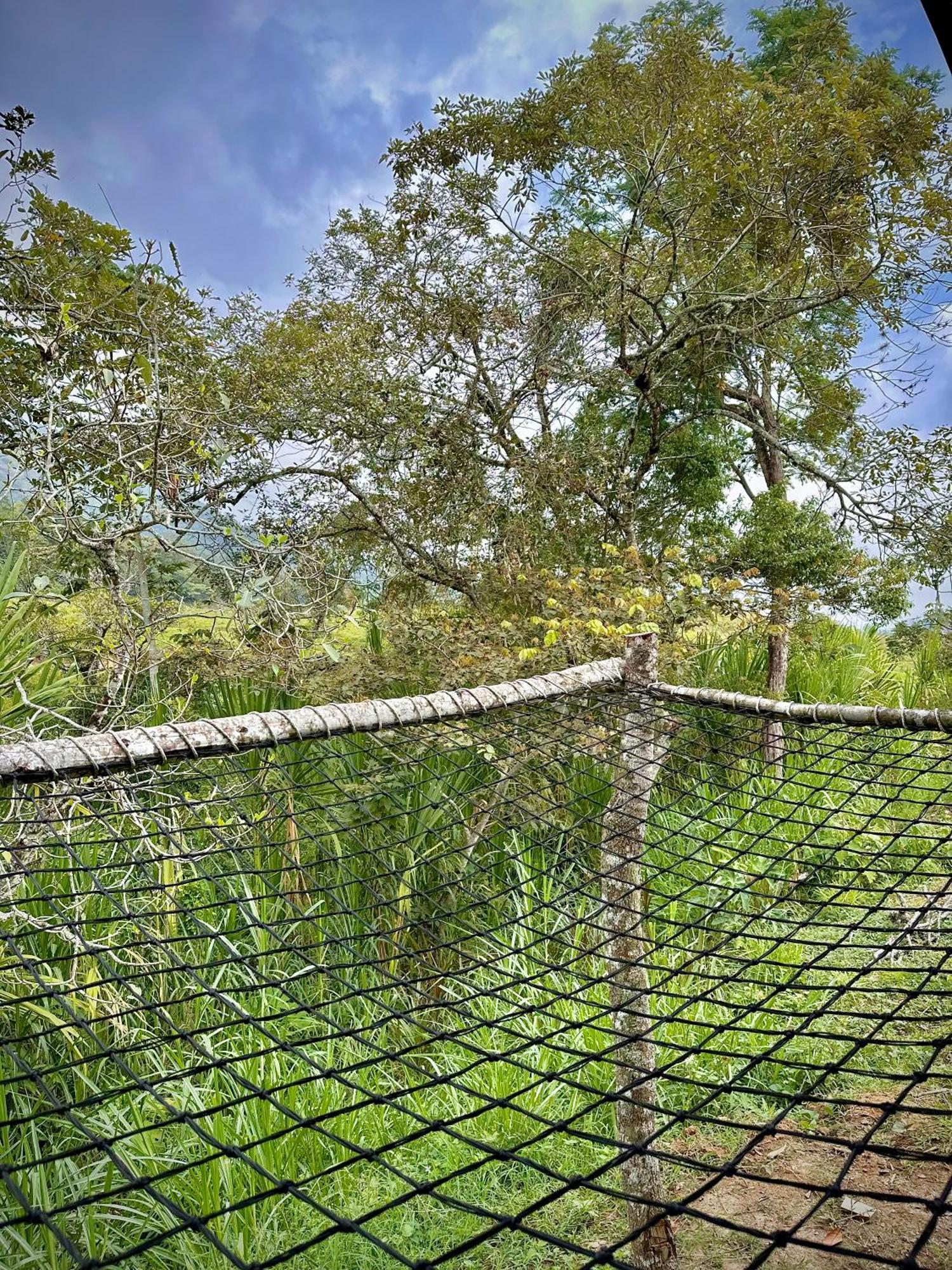 Finca Ecoparaiso Ibagué Kültér fotó